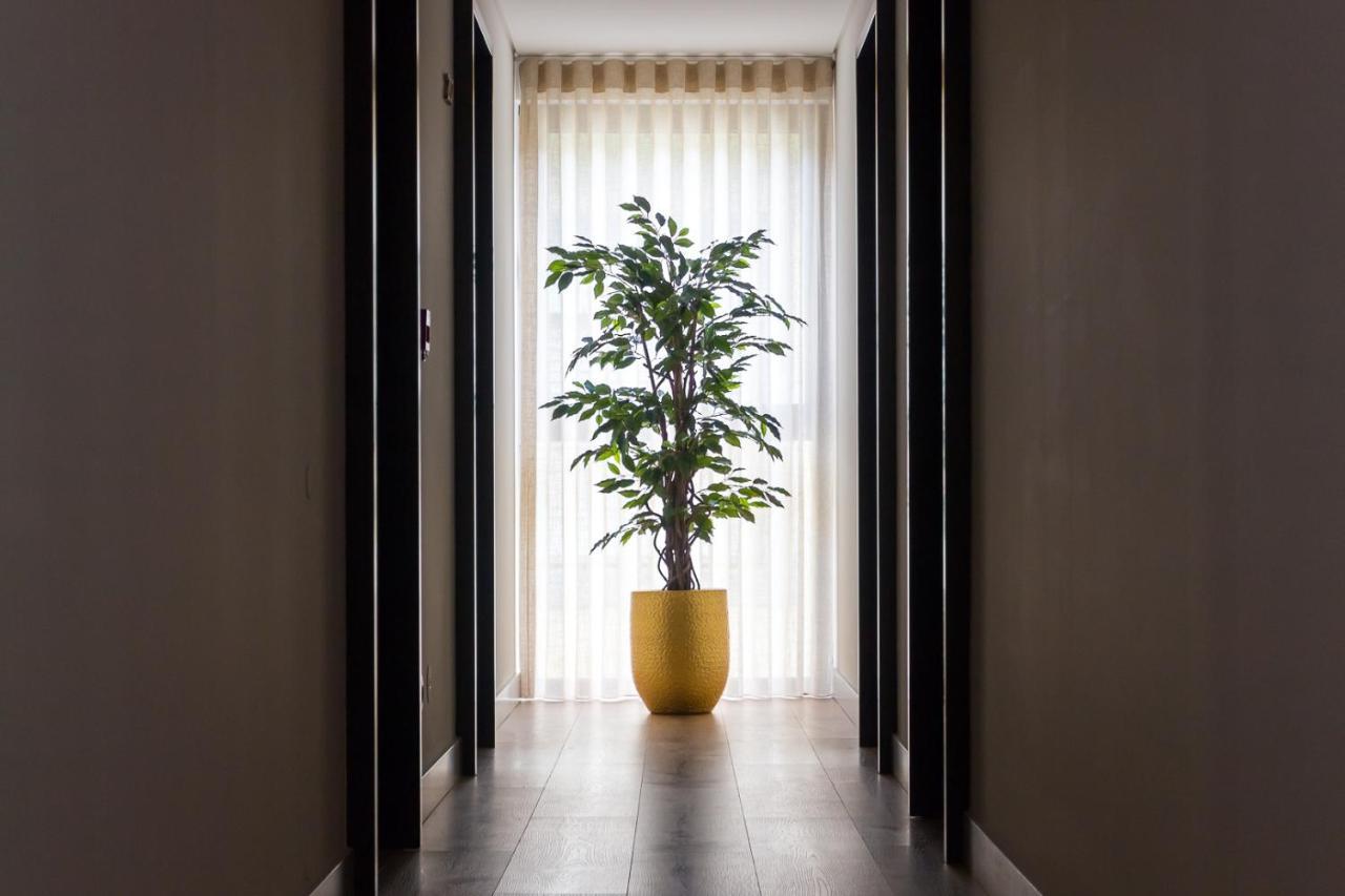 Ribeira House Bed & Breakfast Mirandela Dış mekan fotoğraf
